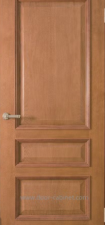 door04